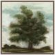 Classic Home Buddy Whitlock Tree Painting Wall Art-0
