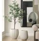 Uttermost® Ridgehaven White Ceramic Indoor-Outdoor Planter-4