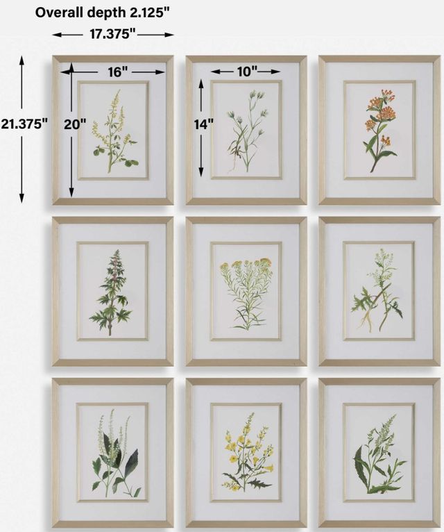 Uttermost® Botanical Flowers 9-Piece Framed Prints Set-2