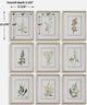 Uttermost® Botanical Flowers 9-Piece Framed Prints Set-2