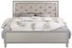 ACME Furniture Sliverfluff Champagne Queen Upholstered Panel Bed with LED-3