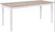 TEI Natural Rectangular Dining Table with White Base-1