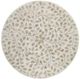 A & B Home White Stool-2