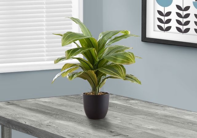 Monarch Specialties Inc. Green/Black 17" Artificial Potted Dracaena-3