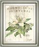 Classy Living Parisian Magnolia Wall Art-0