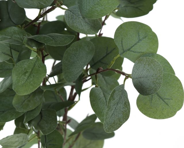 Monarch Specialties Inc. Green/Black 46" Artificial Potted Eucalyptus Tree-2