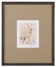 Bassett Mirror Parchment Coral lI Framed Print-0
