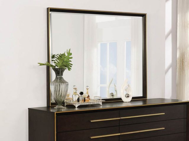 Coaster® Durango Smoked Peppercorn Mirror-4