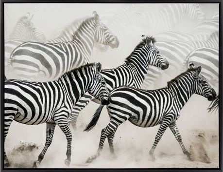 Signature Design by Ashley® Breeda Black/White Wall Art