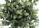 Monarch Specialties Inc. 2-Piece Black 11" Tall Artificial Potted Eucalyptus Grass-4