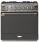 AGA™ Elise Series 36" Stainless Steel Pro Style Dual Fuel Range with Slate Door-0