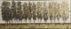 Stylecraft Gilt Foliage Bronze/Brown Traditional Wall Art-1