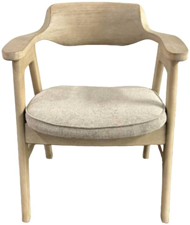 Nest Home Collections Wagner Anew Gray/White Washed Arm Chair-1