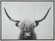 Signature Design by Ashley® Pancho Wall Art-0