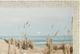 Stylecraft White Moon Over the Blue Ocean Wall Art-1