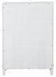 Furniture of America® Naucalpan White Chest-4