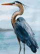 Stylecraft Back Bay Heron II Beige/Blue/Brown/White Wall Art-1
