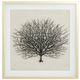 YHD Sea Fan Shadow I Wall Art-0