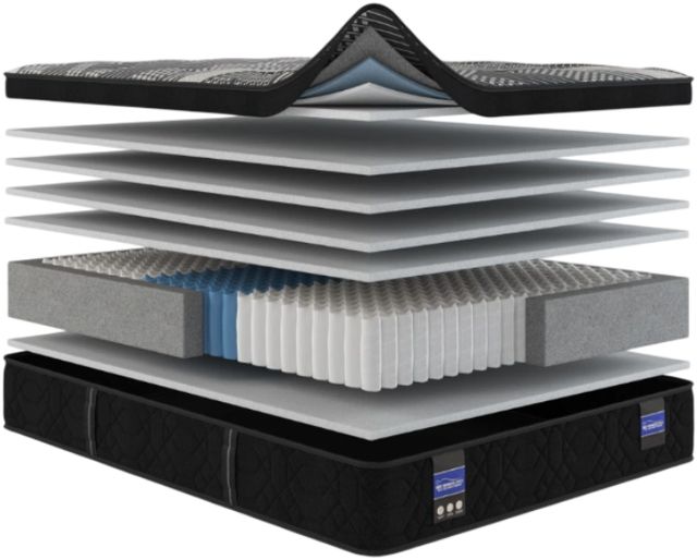 Spring Air® Back Supporter Francesca 13.5" Hybrid Plush Euro Top Queen Mattress-2
