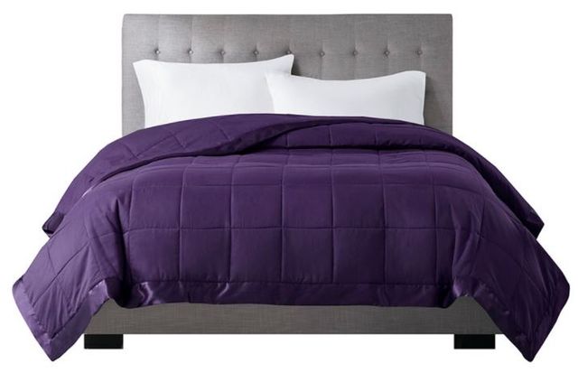 Olliix by Madison Park Windom Purple Twin All Season Microfiber Down Alternative Blanket with 3M Scotchgard-2