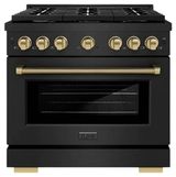 Black Stainless Steel-Champagne Bronze