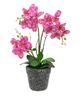 A & B Home Pink Real Touch Vanda Orchid with Cement Pot-0