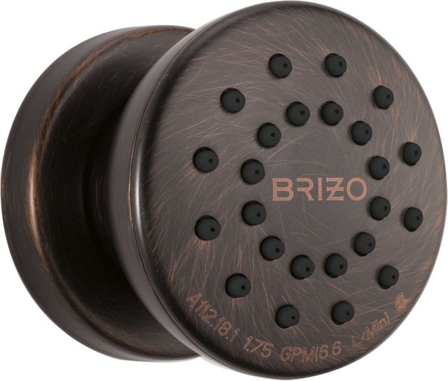 Brizo Essential™ Venetian Bronze® Touch-Clean® Round Body Spray-0