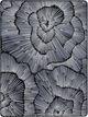 Serta® perfectsleeper X™ Excelled 14.25" Hybrid Plush Quilted Tight Top Twin XL Mattress-5