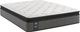 Sealy® Response Performance™ Hybrid Cushion Firm Euro Pillow Top Twin Mattress-0