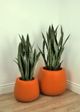 Le Present Belly Terracotta 15" Planter-5