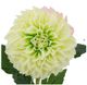 A & B Home Cream Faux Single Stem Dahlia-2