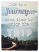 StyleCraft Enjoy the Trip Wall Art-0