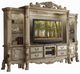 ACME Furniture Dresden Bone/Gold Patina Entertainment Center-0
