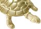 A & B Home Gold Turtle Ornament-1