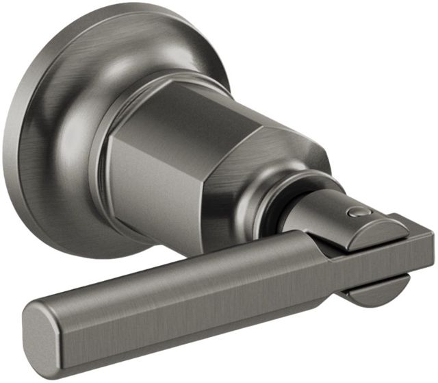 Brizo Invari® Brilliance® Luxe Steel® 2-Handle Wall Mount Tub Filler Lever Handle Kit-0