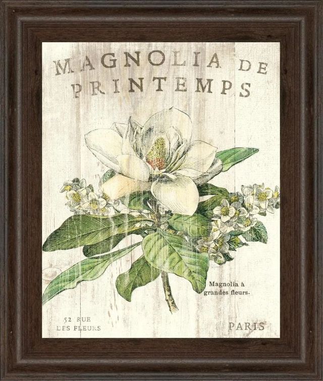 Classy Art Magnolia De Printemps by Sue Schlabach Wall Art-0