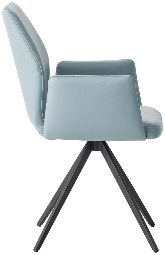 Acme Furniture Segismunda Swivel Arm Chair