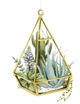 Classy Living Grace Popp Wild Terrarium III Wall Art-2