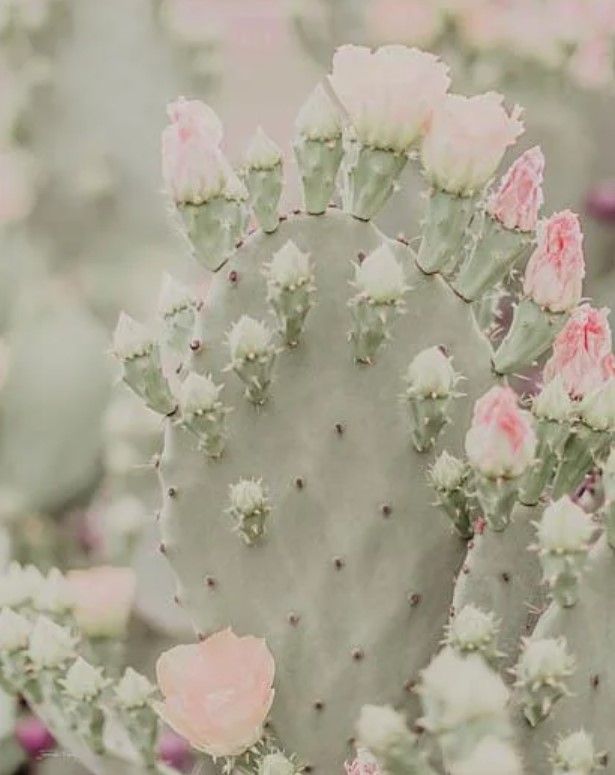 Classy Art Blooms Abound III by Jennifer Rigsby Wall Art-0