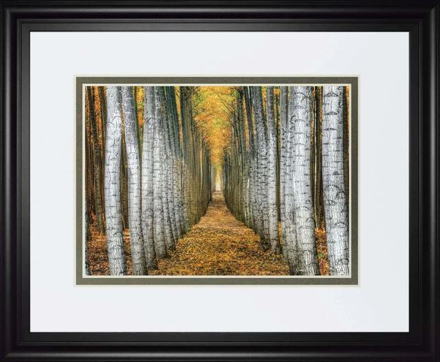 Classy Art Tree Farm by Cahill Wall Art-0