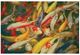 Furniture of America® Koi Printed Canvas Painting-0