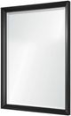 Renwil® Dante Black Foil Accent Mirror-2