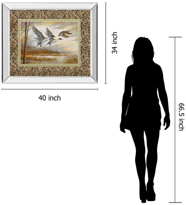 Classy Art Pintails by Ruanne Manning Mirror Framed Wall Art-2