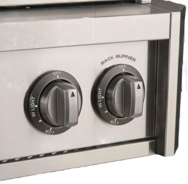 American Outdoor Grill L Series 2-Burner Stainless Steel Built-In Natural Gas Grill with Lights-1