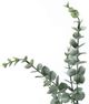 Monarch Specialties Inc. Green/Black 44" Artificial Potted Eucalyptus Tree-2