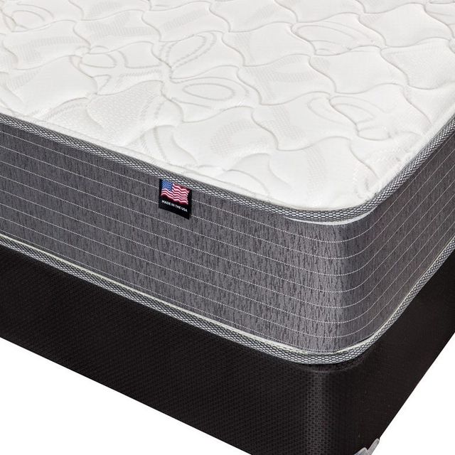 Therapedic® Backsense™ Platinum Austin Innerspring Firm Tight Top Queen Mattress-2