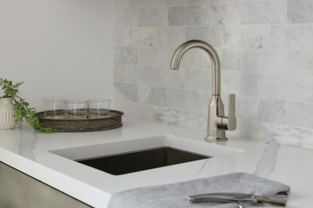 Peerless Ezra® Stainless Single Handle Bar Faucet-1