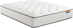 Simmons® Dreamwell Holiday™ Wrapped Coil Firm Tight Top Queen Mattress