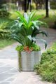 A & B Home Distressed Green 19" Round Cement Planter-4