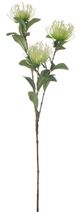 A & B Home White Protea Stem-1